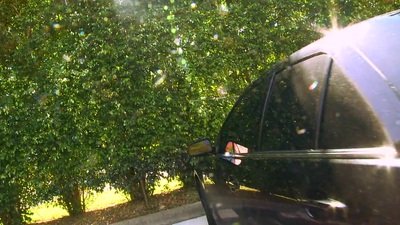 anal ass from Gay Bears Hardcore