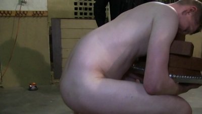 anal anal toys from Helix Studios