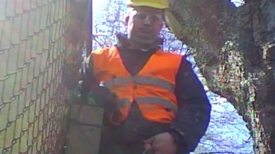 bear cock from Ambush Massage