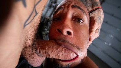 big cock cock from Homo Scene